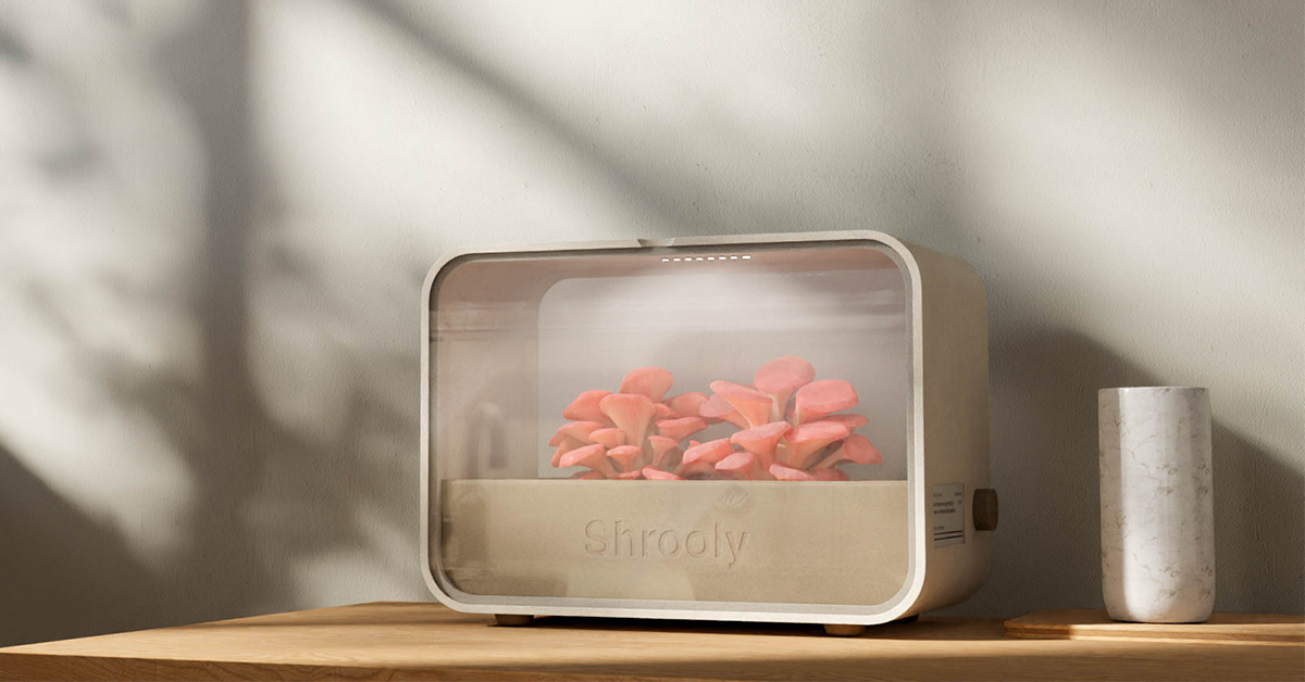 Shrooly: grow mushrooms you can't find anywhere