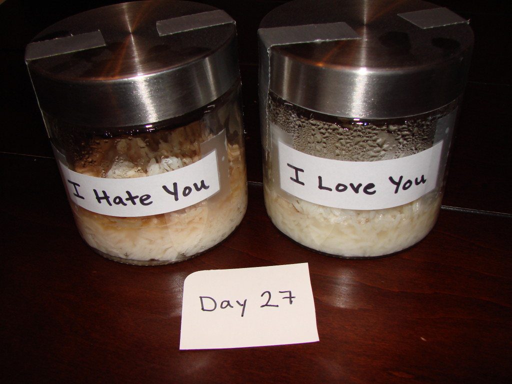 This Rice Experiment Proves: The Power of Positivity Alters Our World