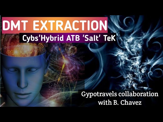 DMT Extraction 'Salt Tek'
