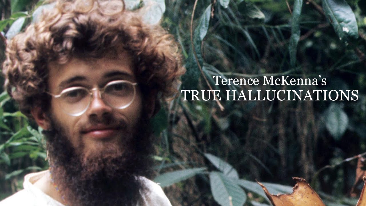 Terence McKenna's True Hallucinations (Full Movie) HD