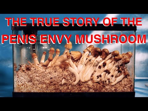 The True Story of the Penis Envy Mushroom