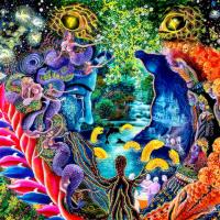 Ayahuasca Research and News