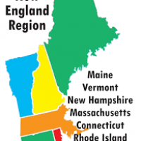 New England Halluci-Nation