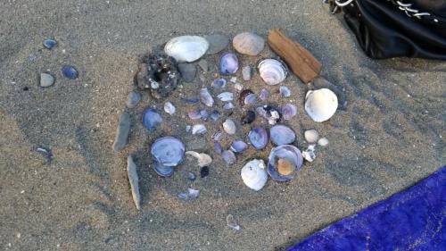 beach