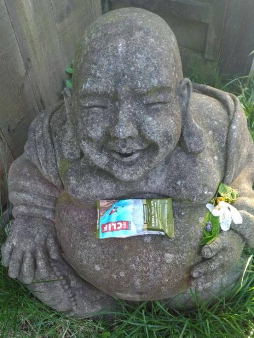 laughingbudda