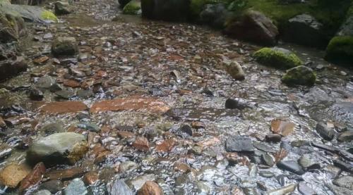 crackling brook