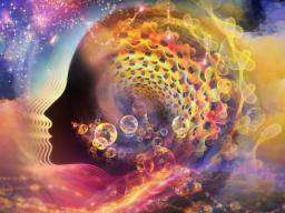 LSD Color
