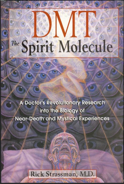 DMT THE SPIRIT MOLECULE cover