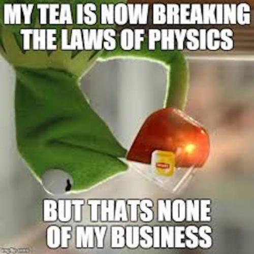 really-funny-memes-none-of-my-business-kermit-the-frog-meme-kermit-meme-law-of-physics