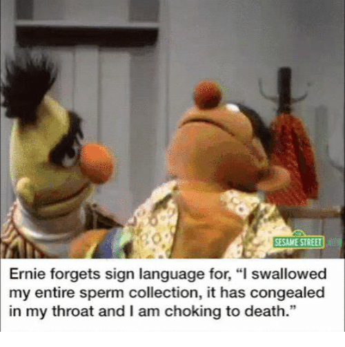 sesame-street-ernie-forgets-sign-language-for-l-swallowed-my-29859533