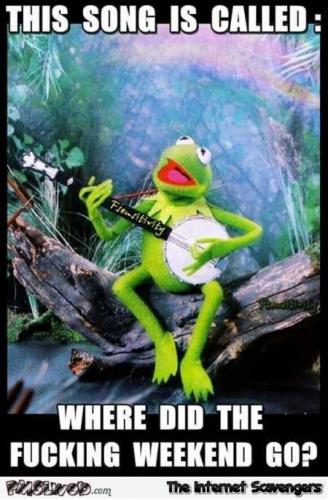 1-where-the-fuck-did-the-weekend-go-funny-kermit-meme