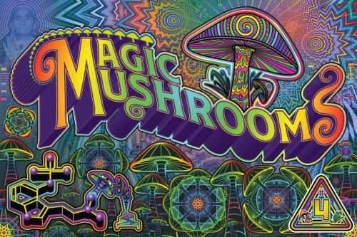 mushrooms-1