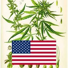 420flag