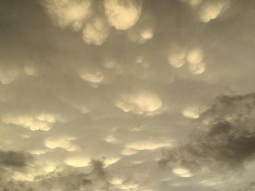 Konza sky
