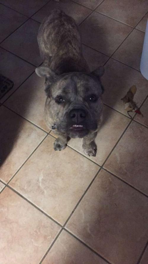 06:48:54 GMT-0400 (EDT).image