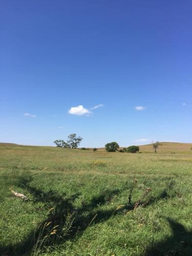 Tallgrass Prairie in summer