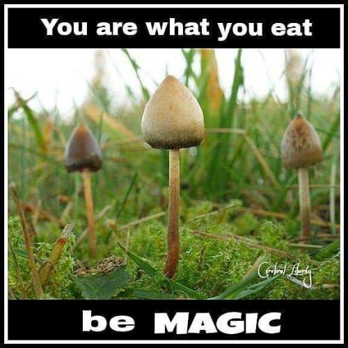 Be magic