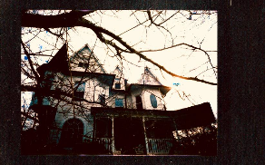 Screenshot_2019-10-23 Lomography(31)