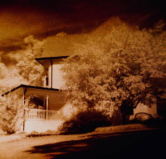 Screenshot_2019-10-23 Lomography(6)