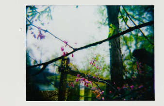 Screenshot_2019-10-23 Lomography(15)