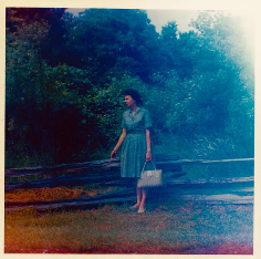 Screenshot_2019-10-23 Lomography(34)