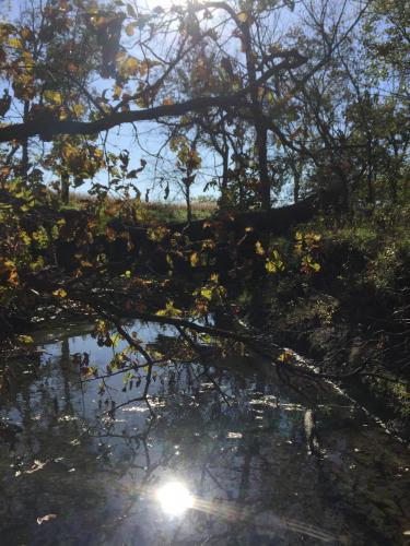 Creek