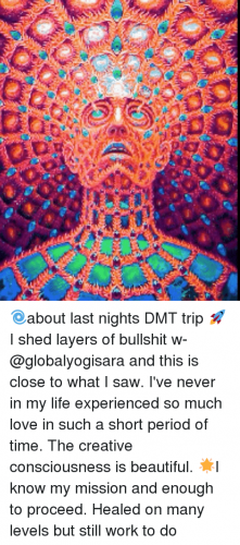 ''''   dmt meme  #3