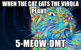 5-MEOW-DMT