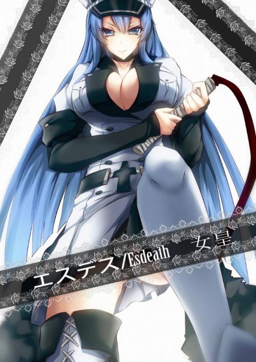 __esdeath_akame_ga_kill_drawn_by_qvq__sample-4a623a657dbf659dc8e0af379b42c1e9