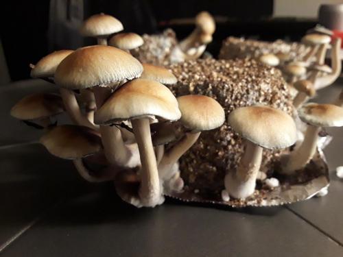 20191004_232724
