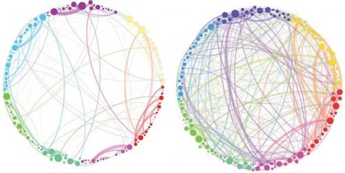 psilocybin_networks_660