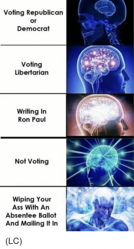 voting-republican-or-democrat-voting-libertarian-writing-in-ron-paul-37073533