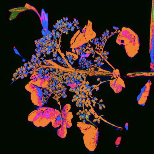 21:02:32 GMT-0400 (EDT)