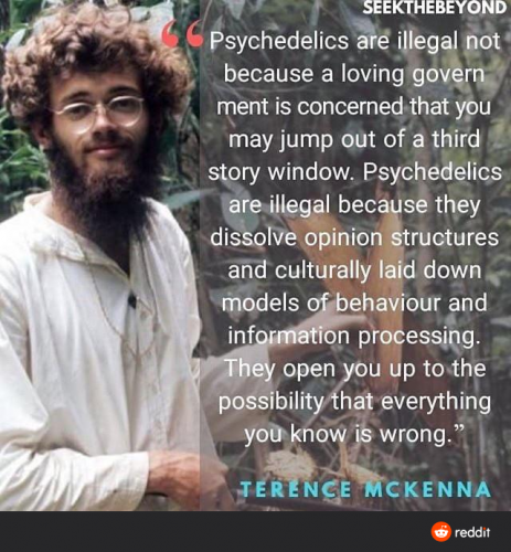 What's your favorite quote from Terence McKenna?