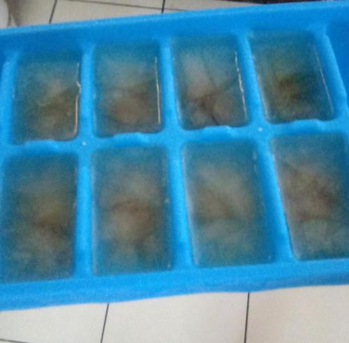 Blue Juice Ice Cubes (read description ;) )