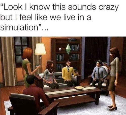 Sims Simulation