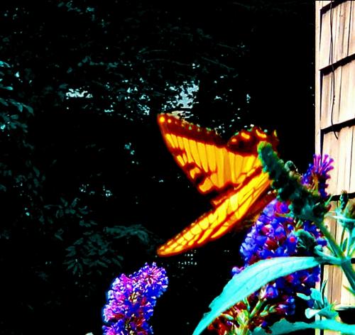 22:00:11 GMT-0400 (EDT)