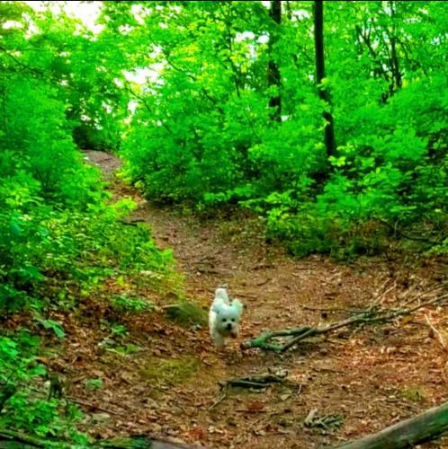 11:57:27 GMT-0400 (EDT)