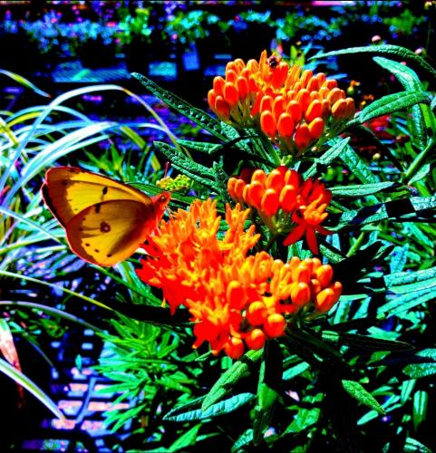 11:54:40 GMT-0400 (EDT)