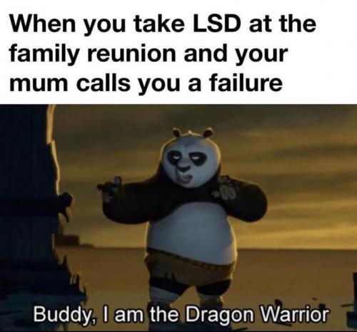 lsd dragon warrior