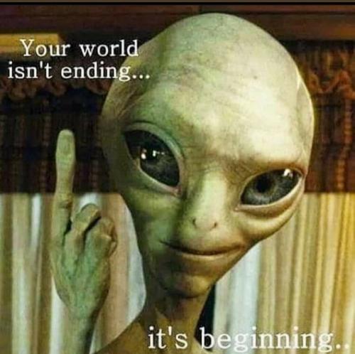 begin