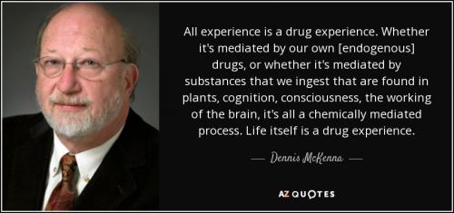 quote-all-experience-is-a-drug-experience-whether-it-s-mediated-by-our-own-endogenous-drugs-dennis-mckenna-75-22-78