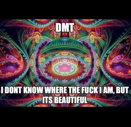 DMT