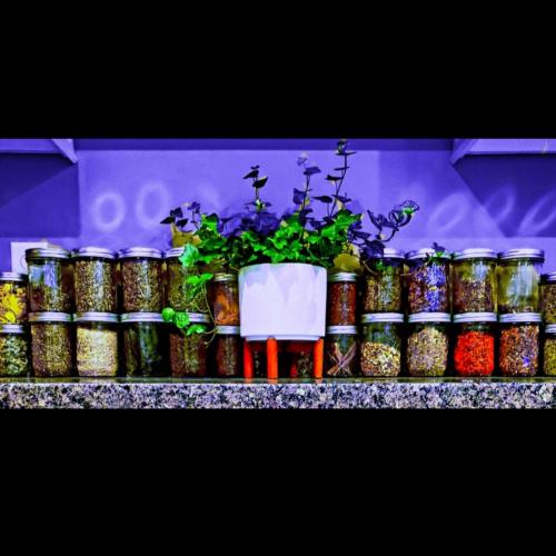 20:27:15 GMT-0500 (EST)