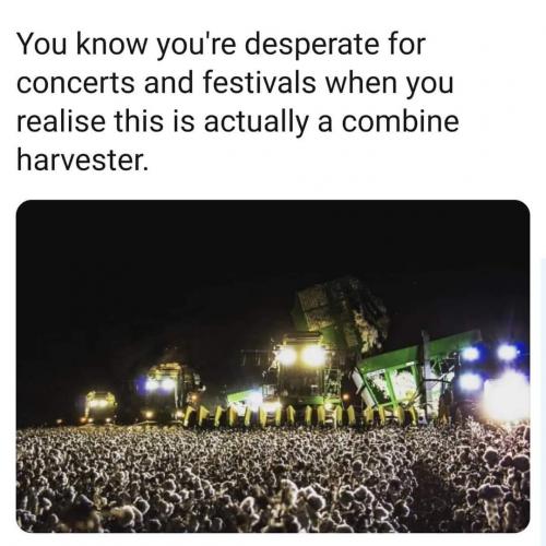 Illusions