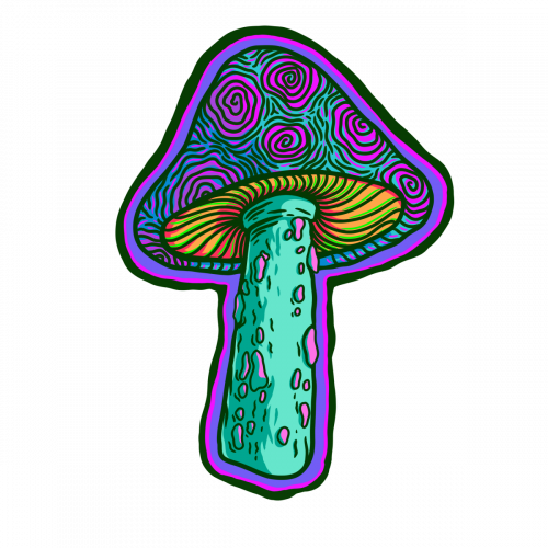 A8684E7A-938F-4CC5-8FA1-CA22F91A06D7