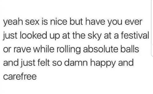 Festie Vibes