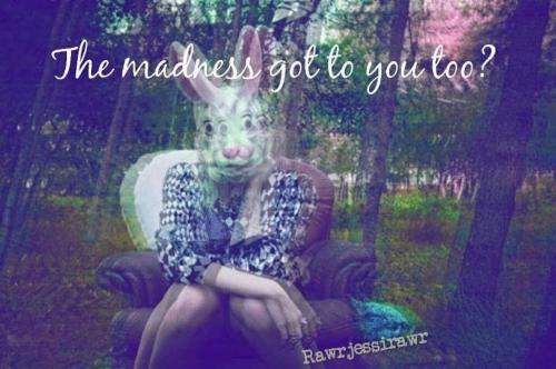 Madness Rabbit