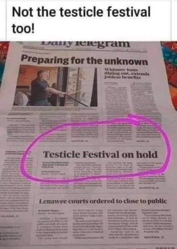 Testi Festi