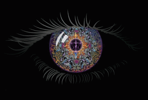 Eye